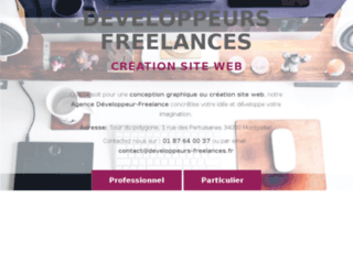 Détails : Developpeur freelance