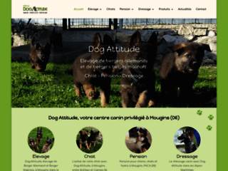 Dog Attitude, centre d'élevage de chiens 