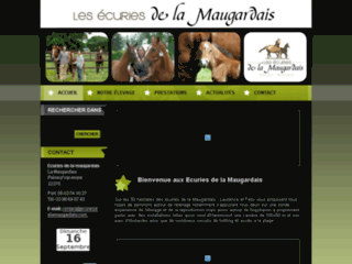 Détails : Cheval Pie à vendre Bretagne