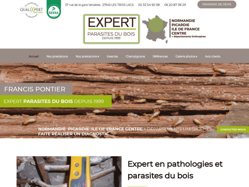 Expert en pathologies du bois dans la construction (27)