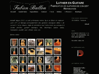 Détails : Fabien Ballon - Luthier en guitare