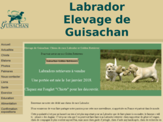 Détails : Chenil de chiens labrador retriever de Guisachan