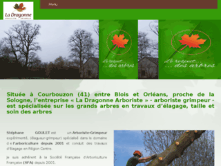 Détails : Arboriste grimpeur Loir et Cher 41, Loiret 45