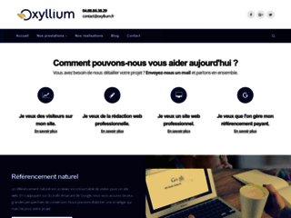 Détails : Oxyllium : agence web spécialisée en SEM