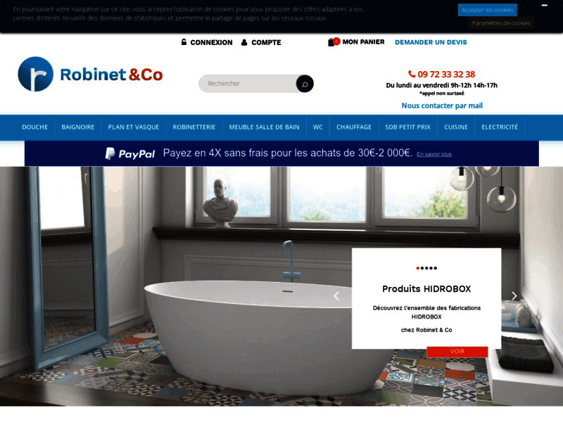 Robinet cuisine et salle de bain : Mitigeur et robinet thermostatique - Robinetterie