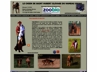 Le chien de Saint Hubert  élevage et promotion pour la chasse et l'utilisation comme chien de recherche en Gendarmerie