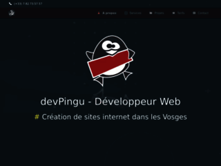 Détails : devPingu, votre développeur web dans les Vosges