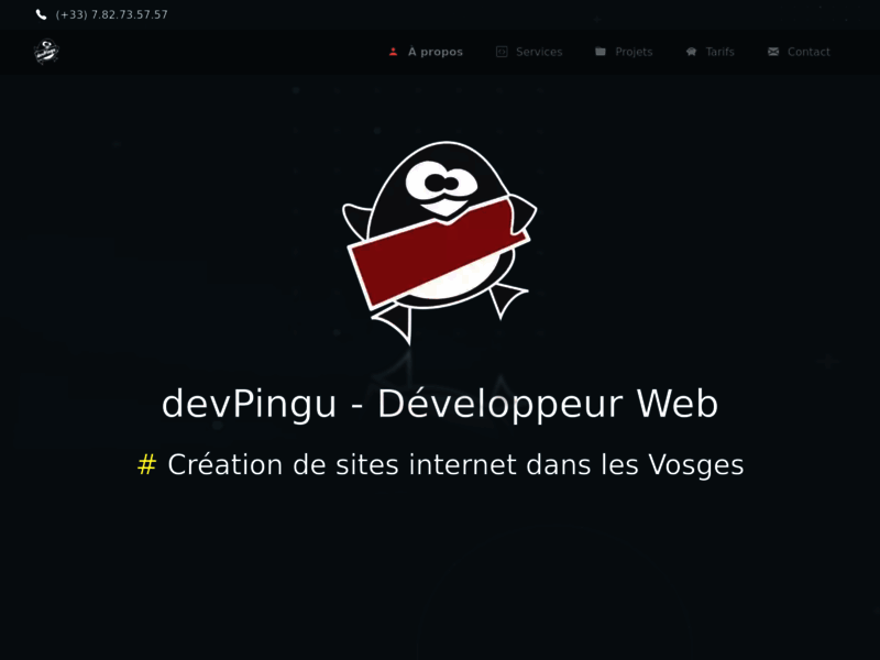 devPingu, votre développeur web dans les Vosges
