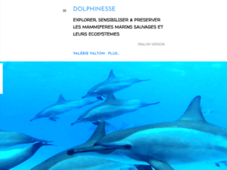 Détails : Dolphinesse, à la découverte de l’univers des dauphins