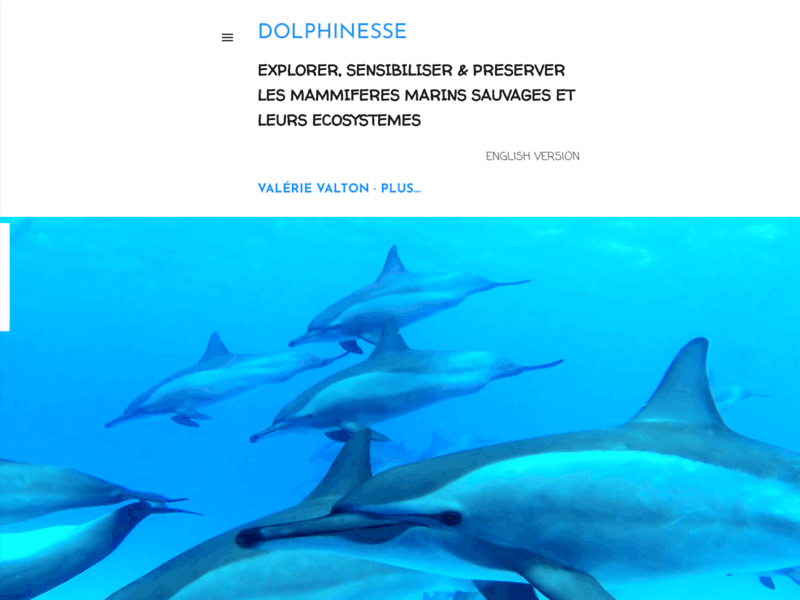 Dolphinesse, à la découverte de l’univers des dauphins