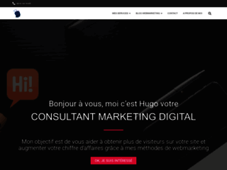 Consultant Marketing Digital | Webmarketing Freelance