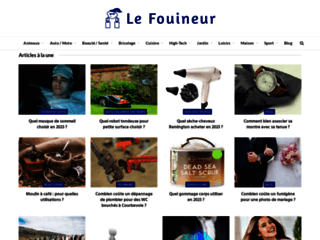 Lefouineur.fr