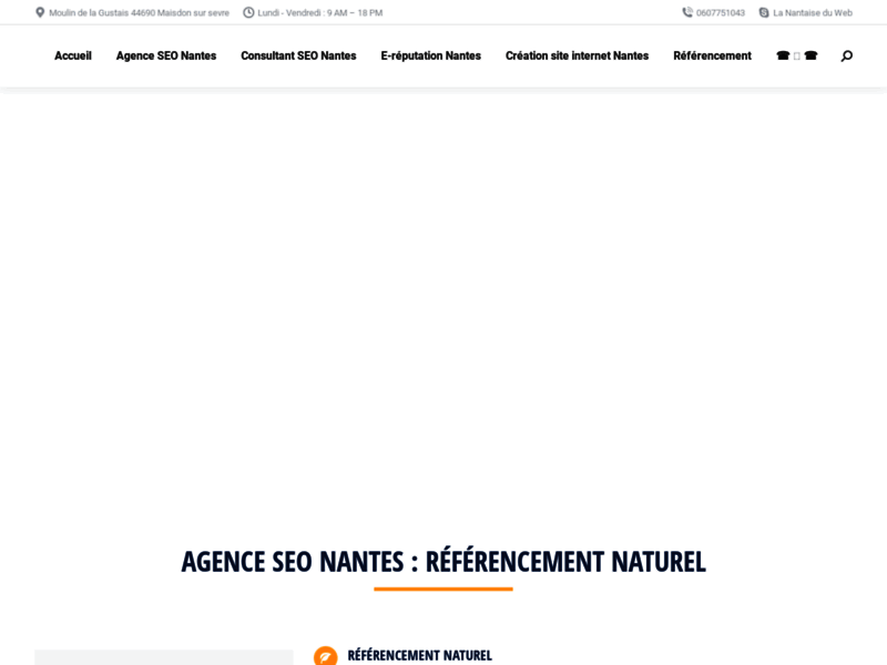 La Nantaise du Web, agence web à Nantes