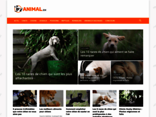 La plateforme informative sur les animaux de compagnie
