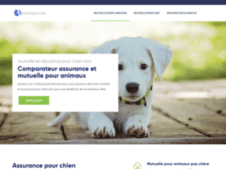 Votre mutuelle d'assurance santé pour chiens