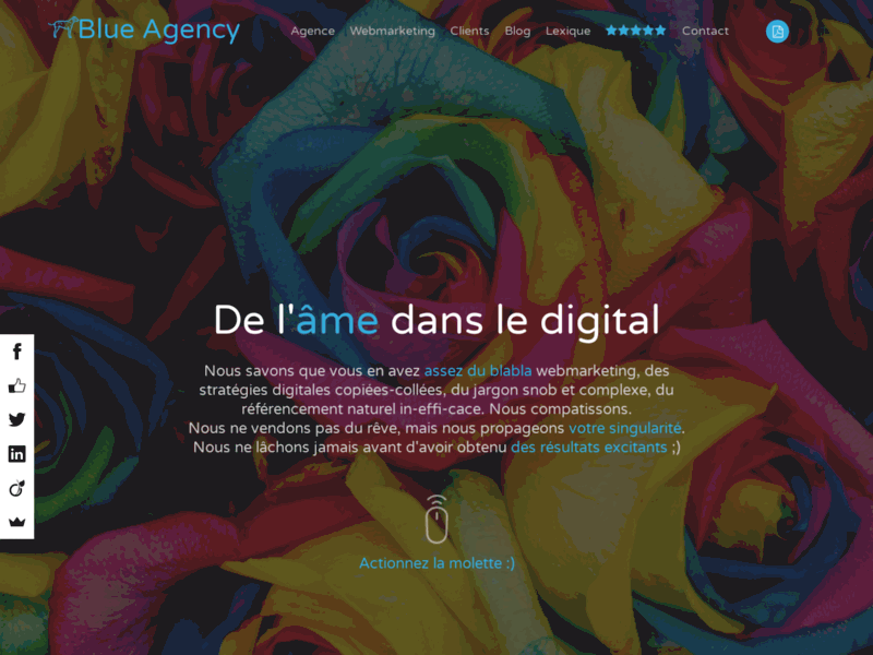 Blue Agency, agence webmarketing