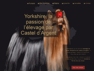 Détails : Yorkshire - Castel Argent