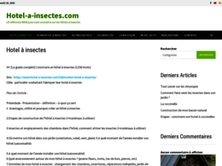 Détails : Hôtel à insectes, tout comprendre sur l'hôtel à insectes