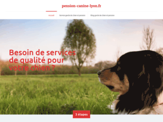 Pension Canine Lyon : pour la toilette de vos chiens