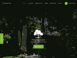 Polytreecare : des professionnels pour l’élagage de vos arbres