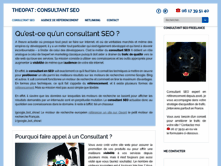 Theopat, Consultant Seo freelance 