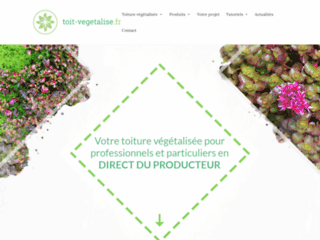 Toit Végétalisé en Alsace pour Professionnels & Particuliers